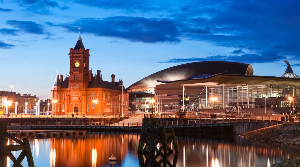Cardiff Bay
