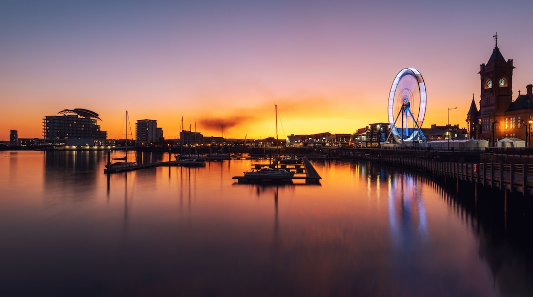 Cardiff Bay
