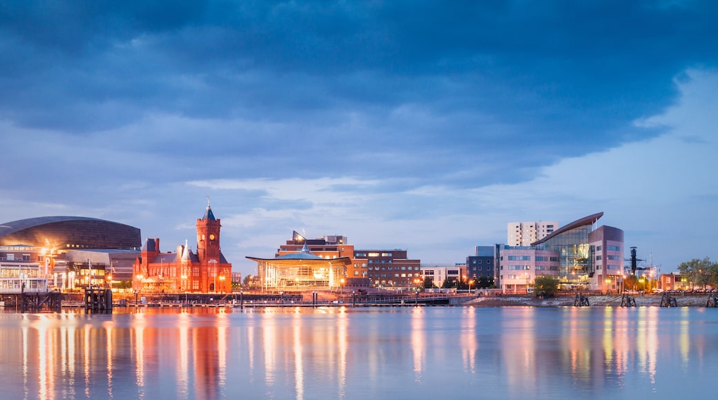 Cardiff Bay