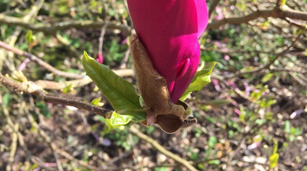 Stunning gardens and nice café