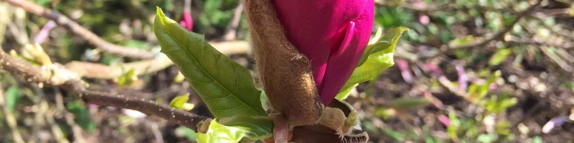 Stunning gardens and nice café