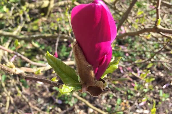 Stunning gardens and nice café