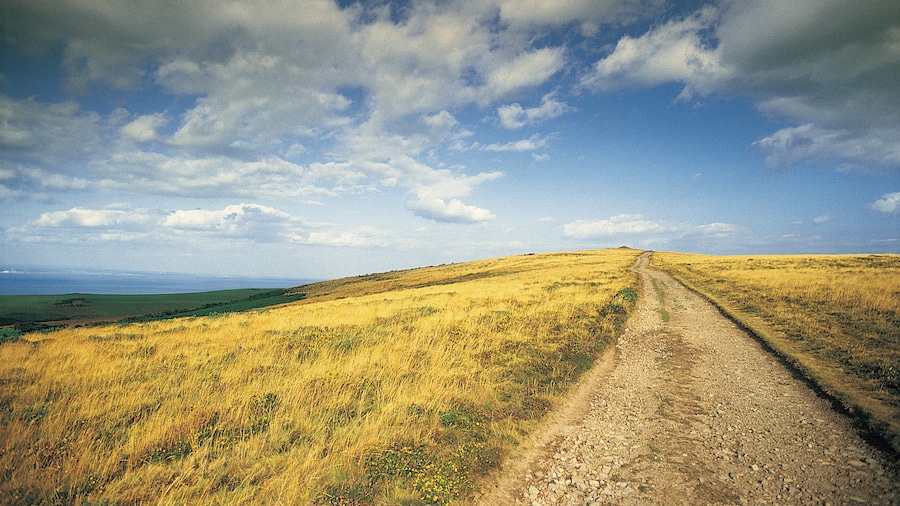 Sendero costero de la isla de Wight