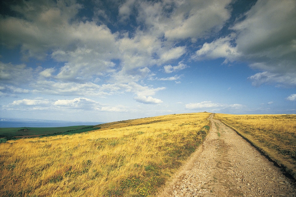 Ein Feldweg schlängelt sich durch eine grüne Landschaft unter teilweise bewölktem Himmel.