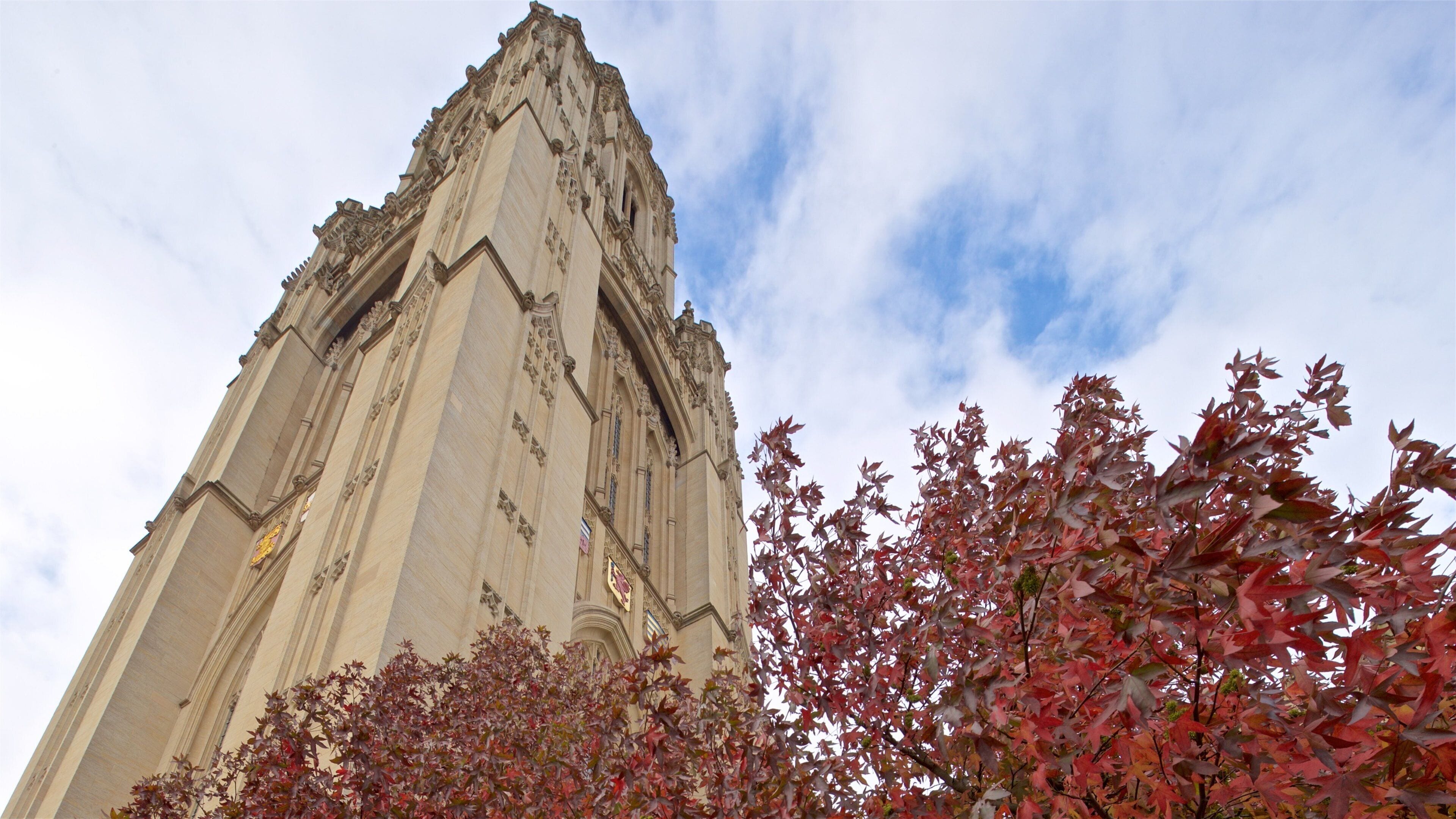 Wills Memorial Building som inkluderer kulturarv