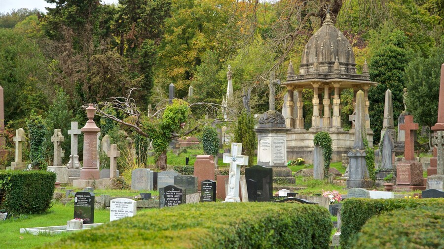 Arnos Vale Cemetery showing a cemetery