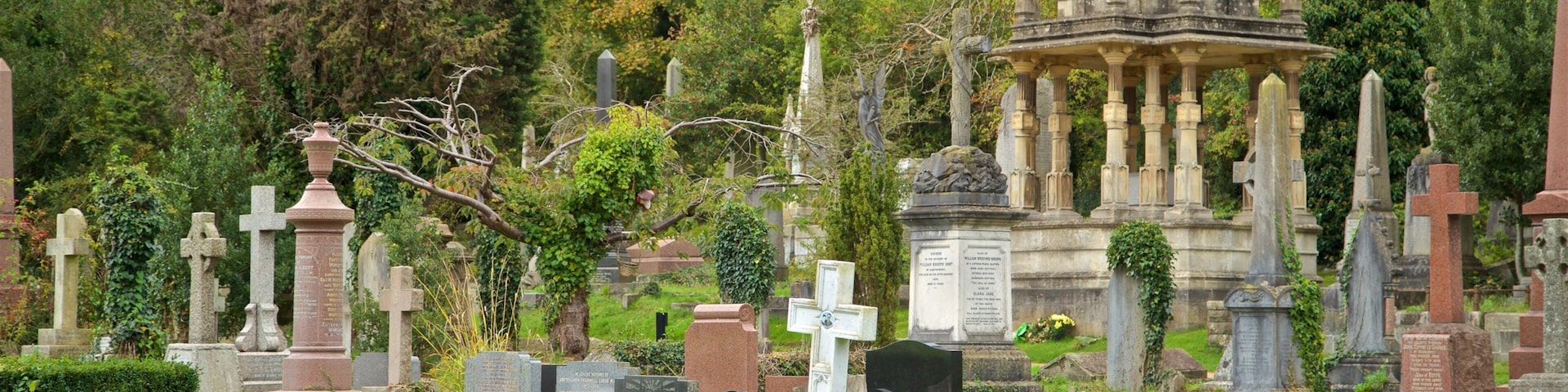 Arnos Vale Cemetery mostrando um cemitério