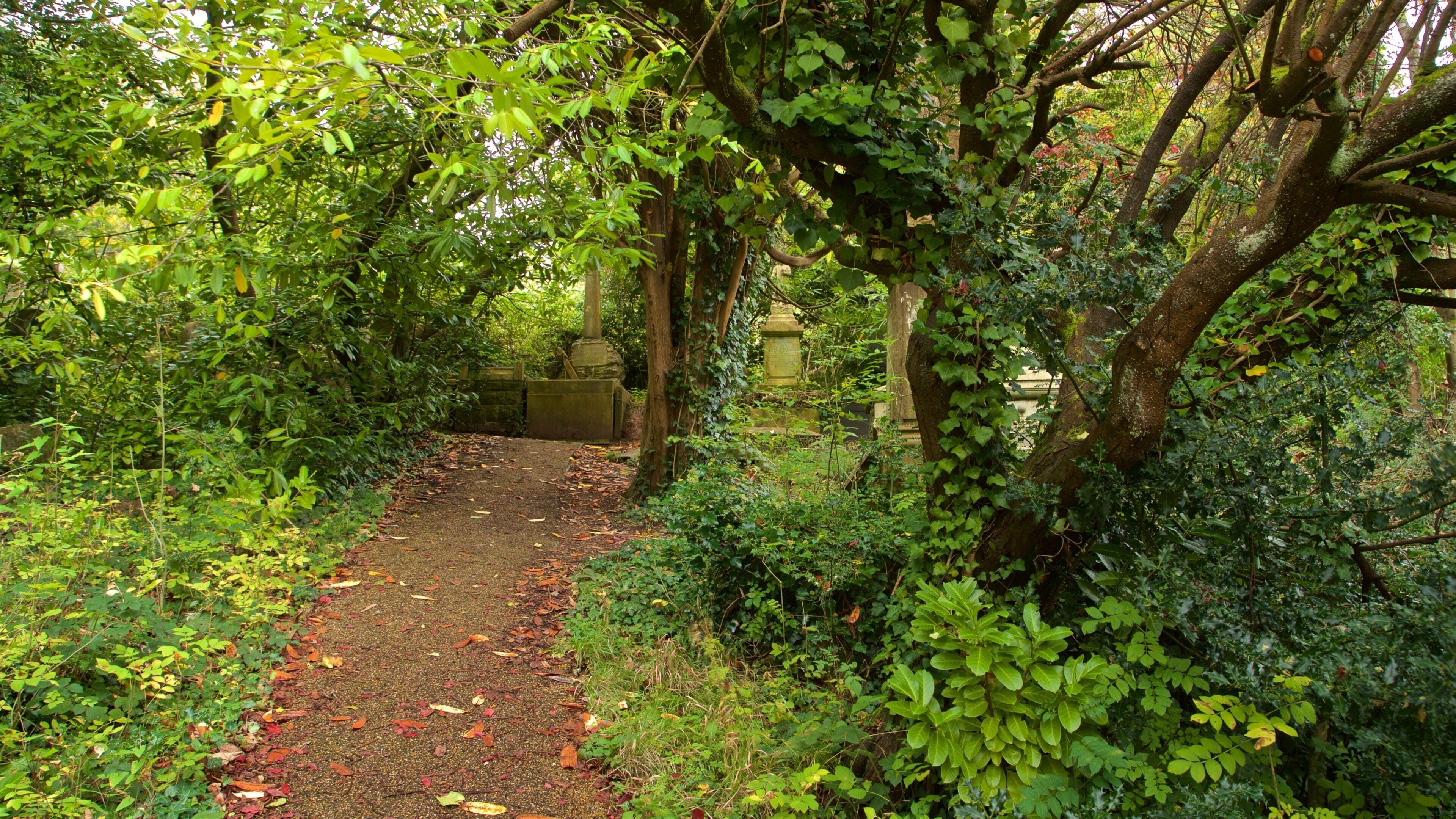Arnos Vale Cemetery featuring a garden