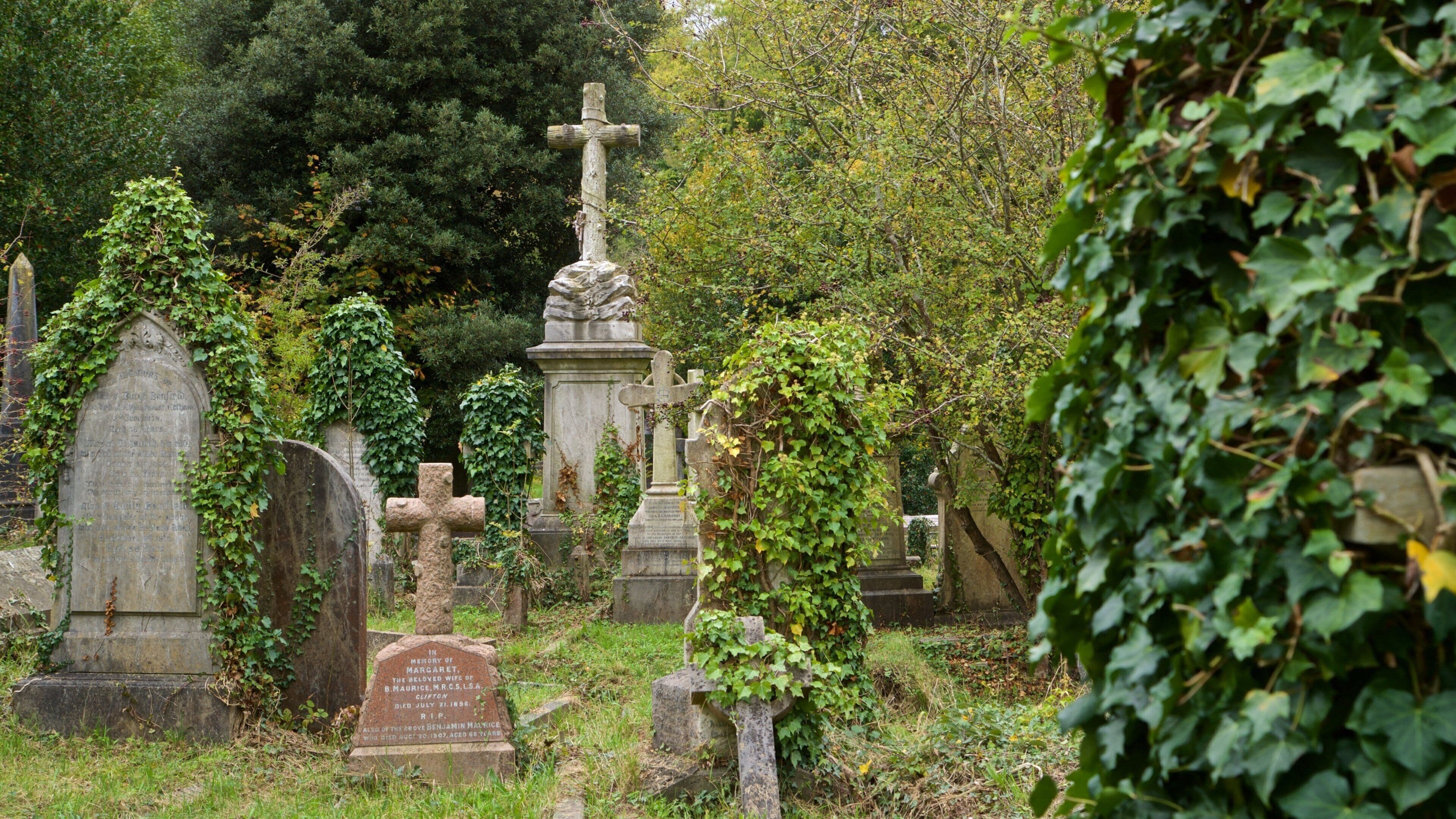Arnos Vale Cemetery which includes a cemetery
