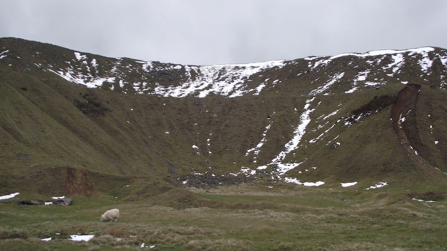 Snow capped hills, icy weather...but the sheep seem happy enough!