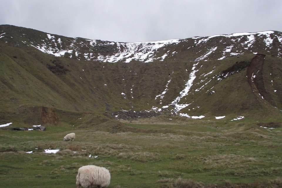 Een grasveld met twee schapen en een berg met sneeuwvlekken.
