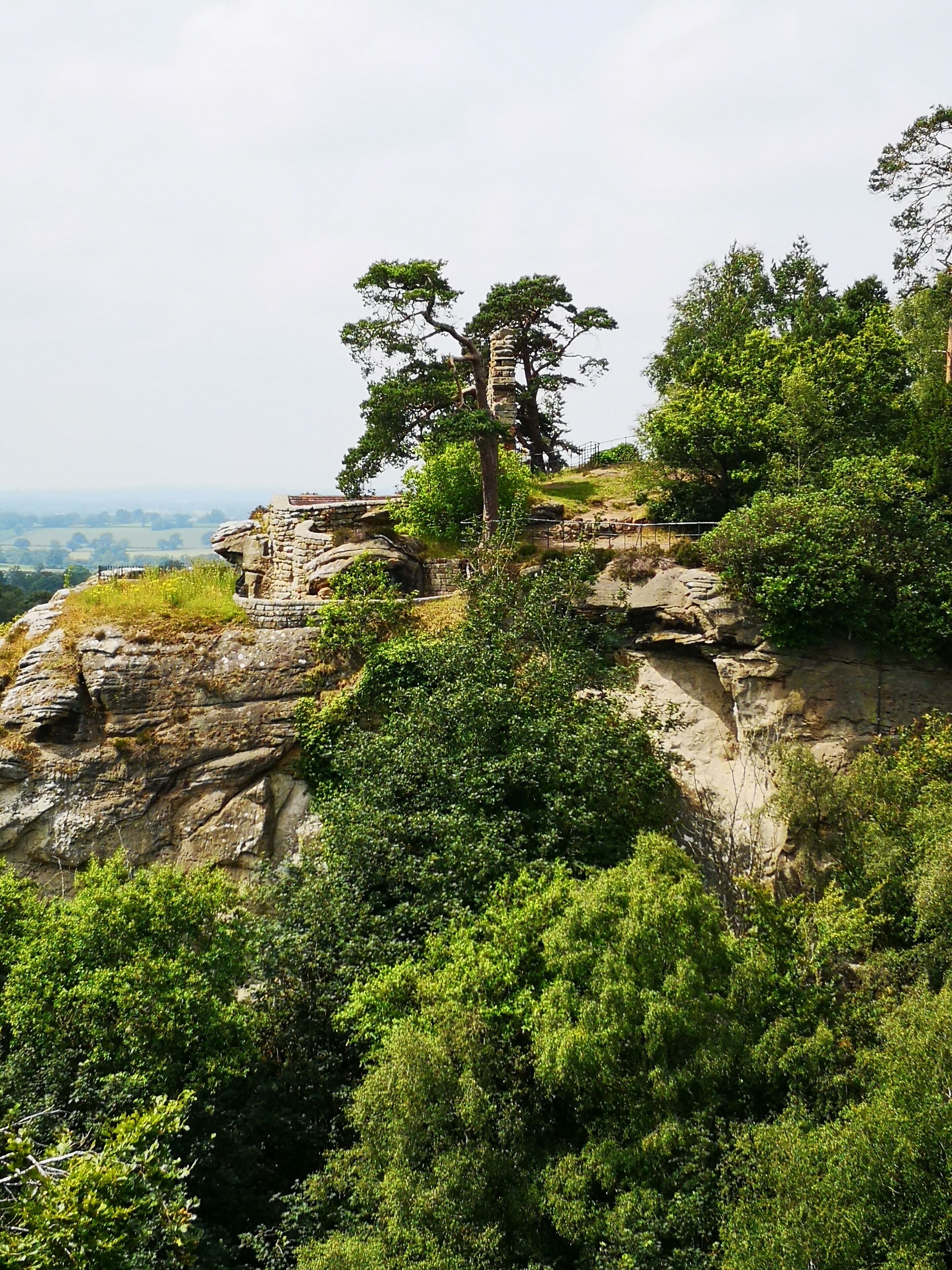 A rocky cliff with a stone structure and a tree on top.