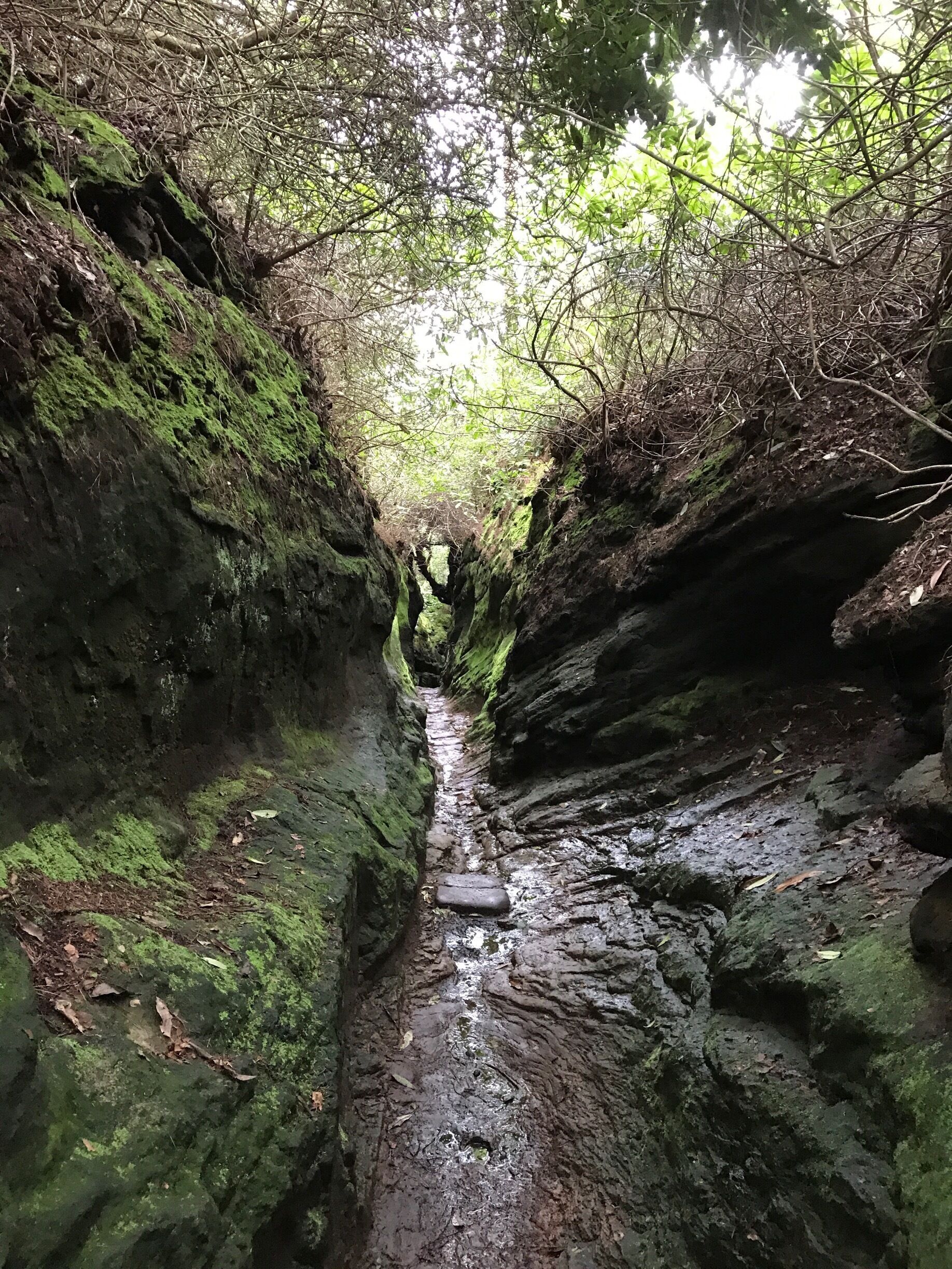 Hawkstone Park Follies. This is a narrow path known as The Cleft