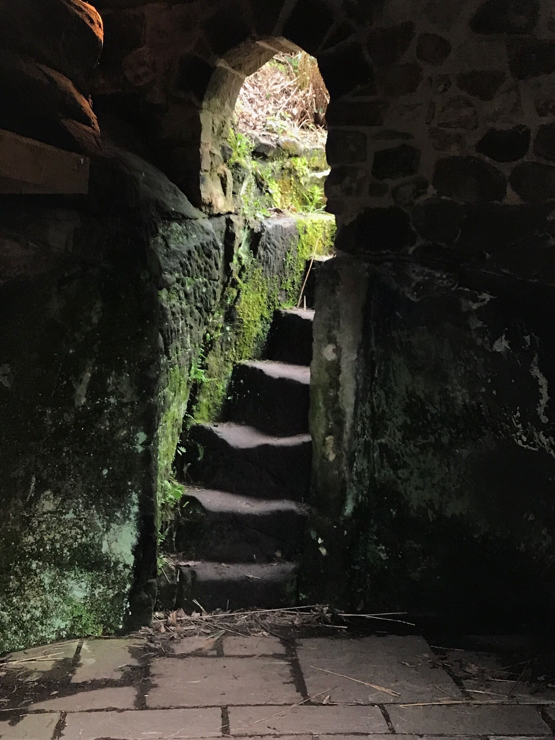 Hawkstone Park Follies. Wonderful park full of quirky follies like this Hermitage. 