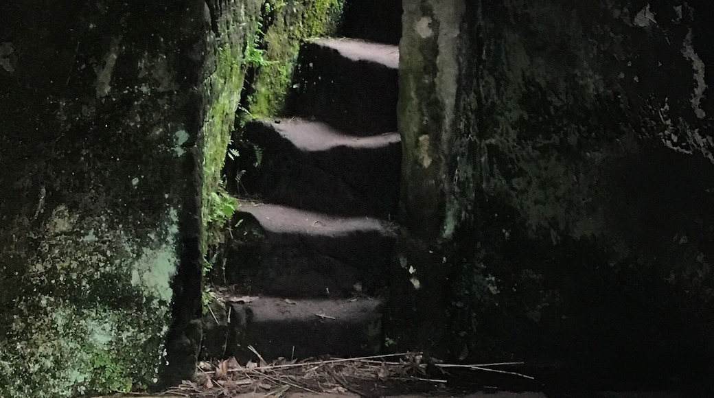 Hawkstone Park Follies. Wonderful park full of quirky follies like this Hermitage.