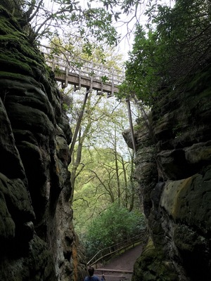 Swiss Bridge over The Cleft.