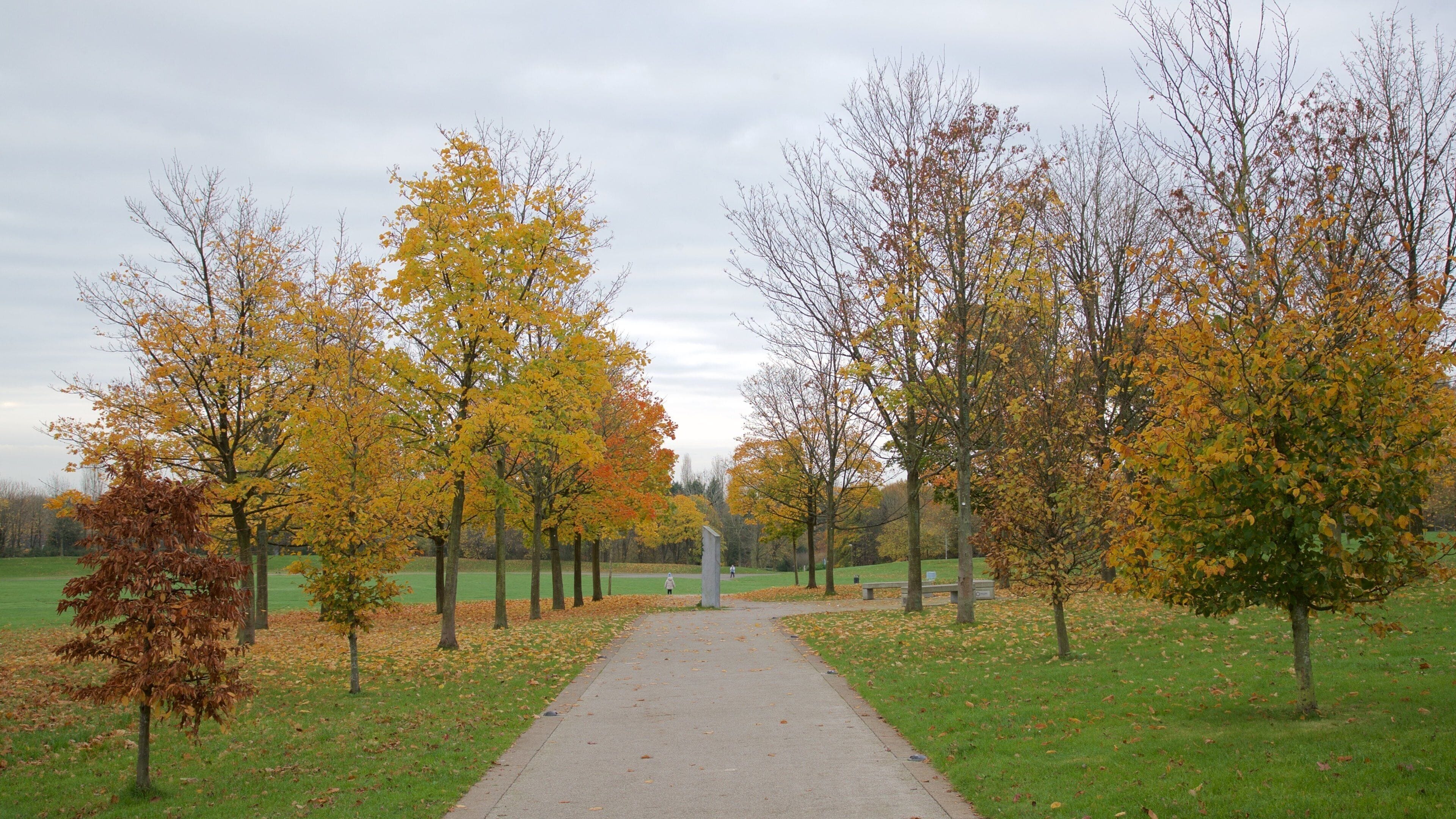 텔퍼드 타운 공원 이 포함 공원 과 가을 색감