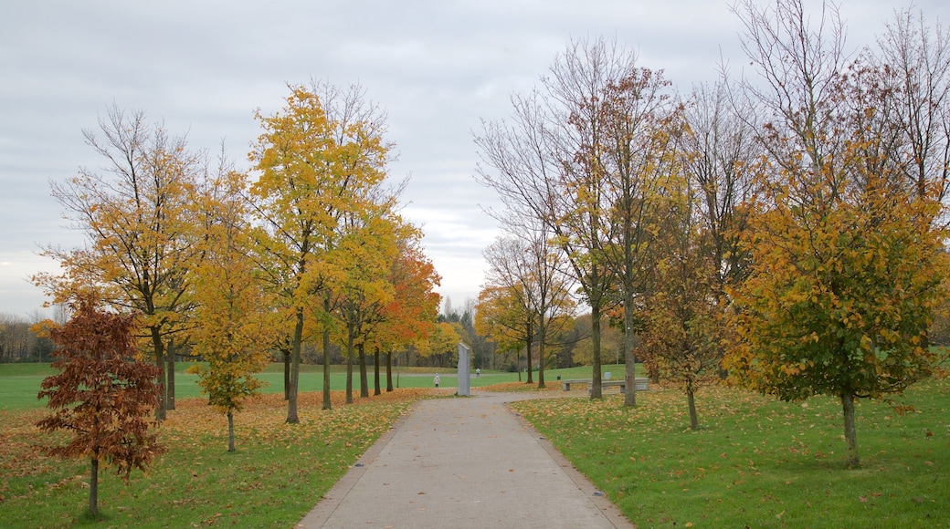 텔퍼드 타운 공원 이 포함 공원 과 가을 색감