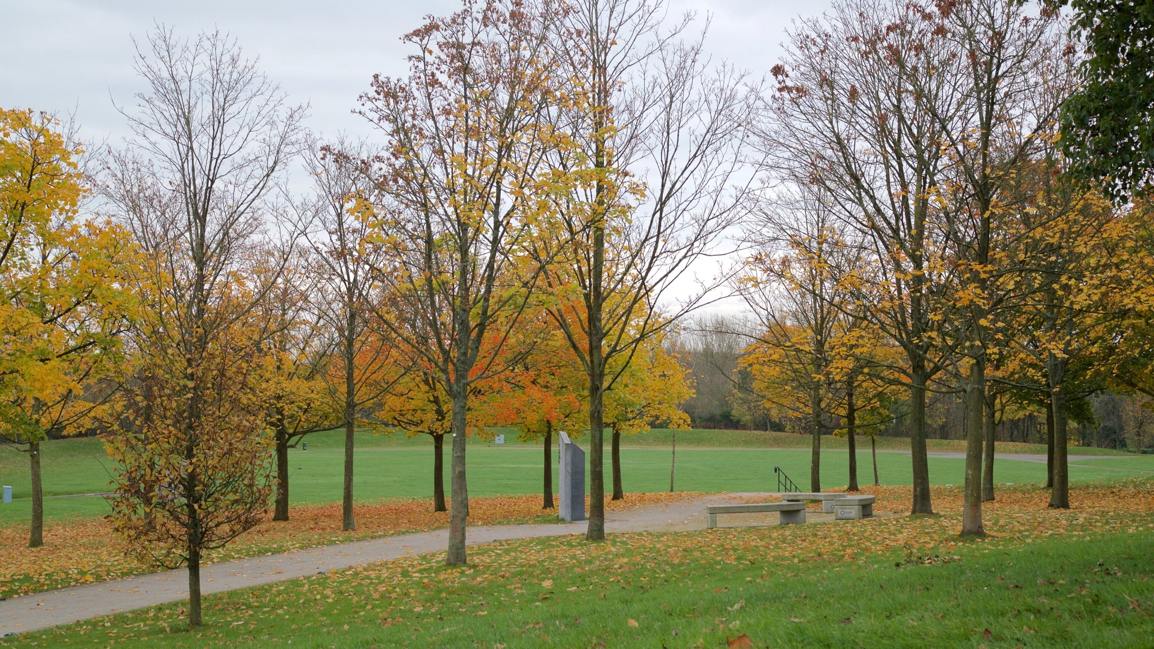 Telford Town Park which includes a garden and autumn leaves