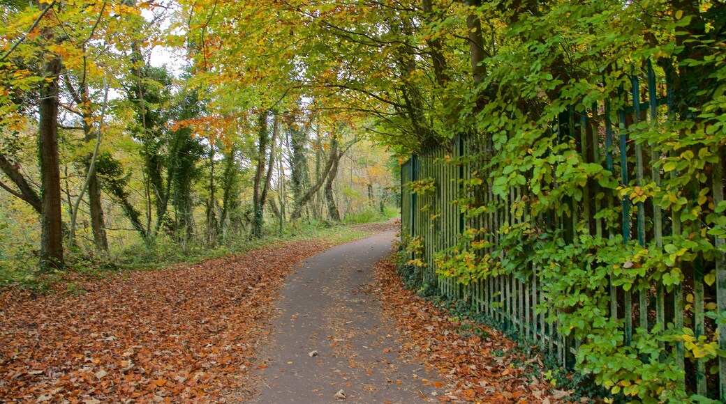 Telford Town Park which includes a park and fall colors