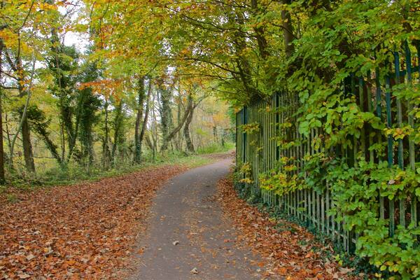 Telford Town Park which includes a park and fall colors