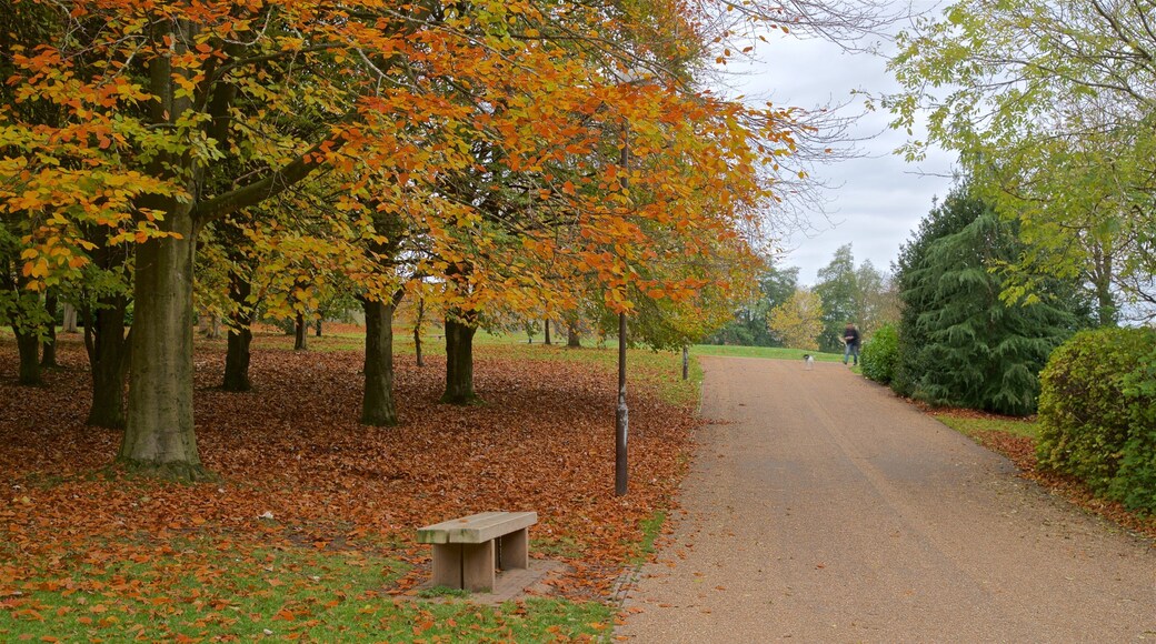 Parque recreativo de Telford mostrando hojas de otoño y jardín