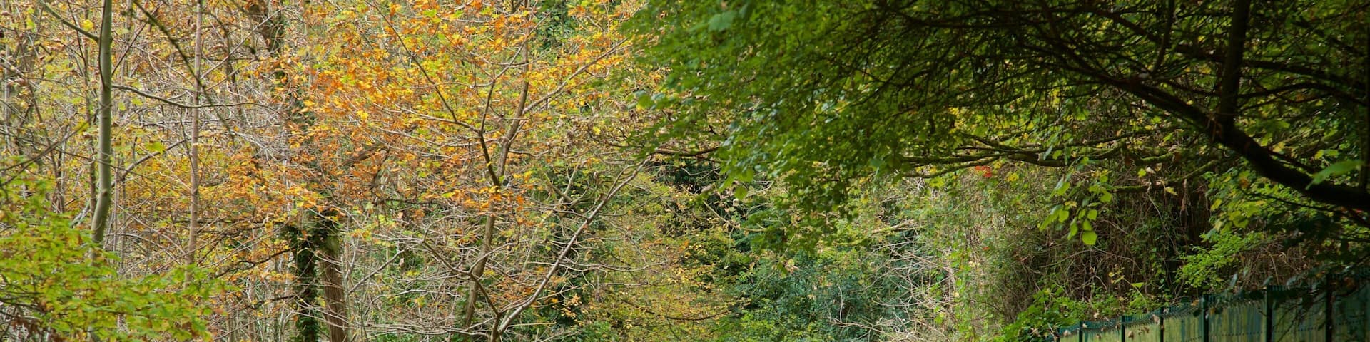 Parque recreativo de Telford que incluye un parque y hojas de otoño