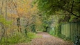 Telford Town Park featuring autumn leaves and a garden