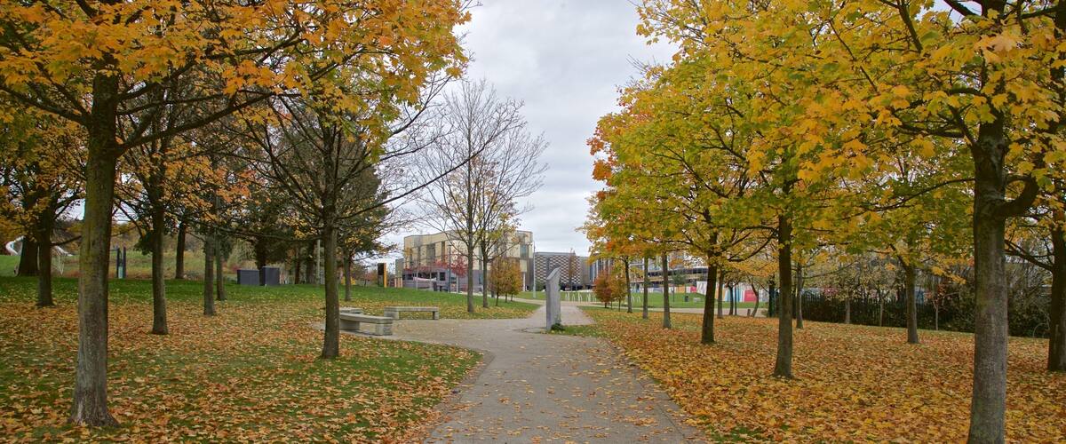 Telford Town Park featuring a park and autumn leaves