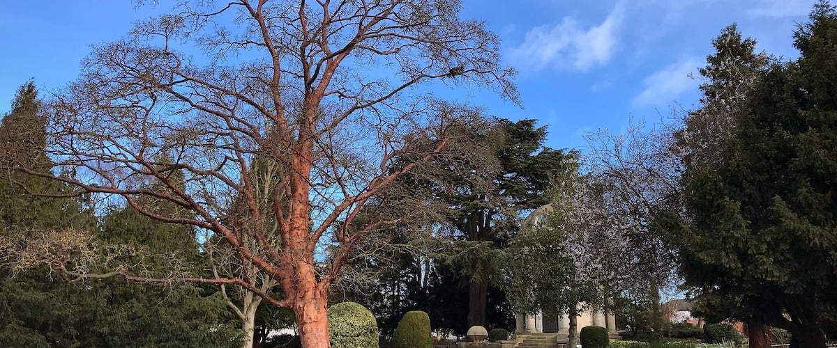 Beautiful Victorian park in the centre of Leamington Spa.