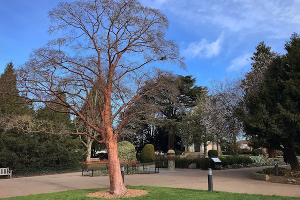 Beautiful Victorian park in the centre of Leamington Spa.