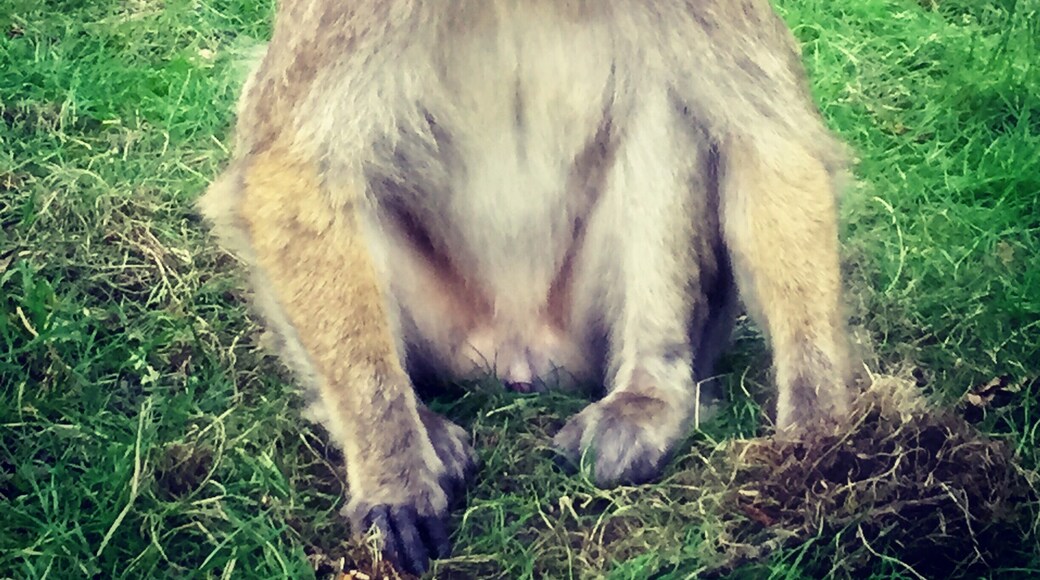 Great couple of hours in nature.