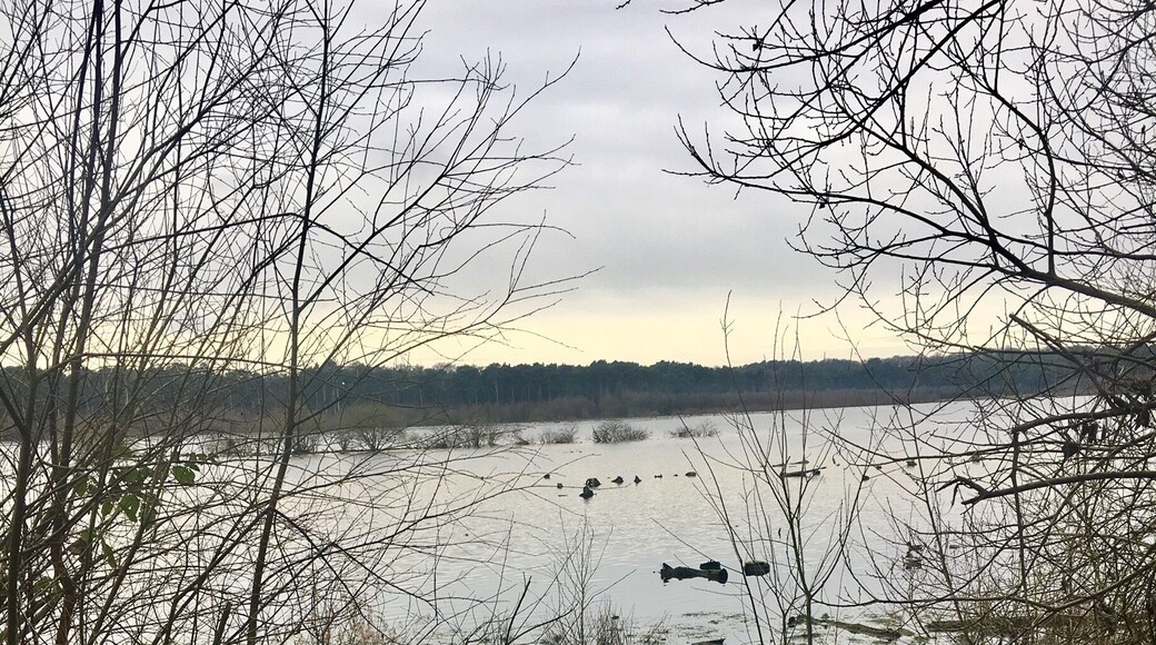 Little stop off whilst walking around Delemere 😍