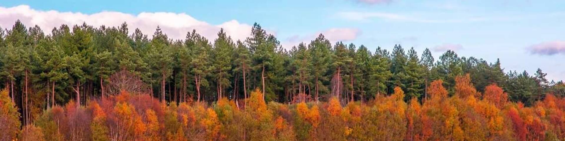 Perfect place for walking and cycling