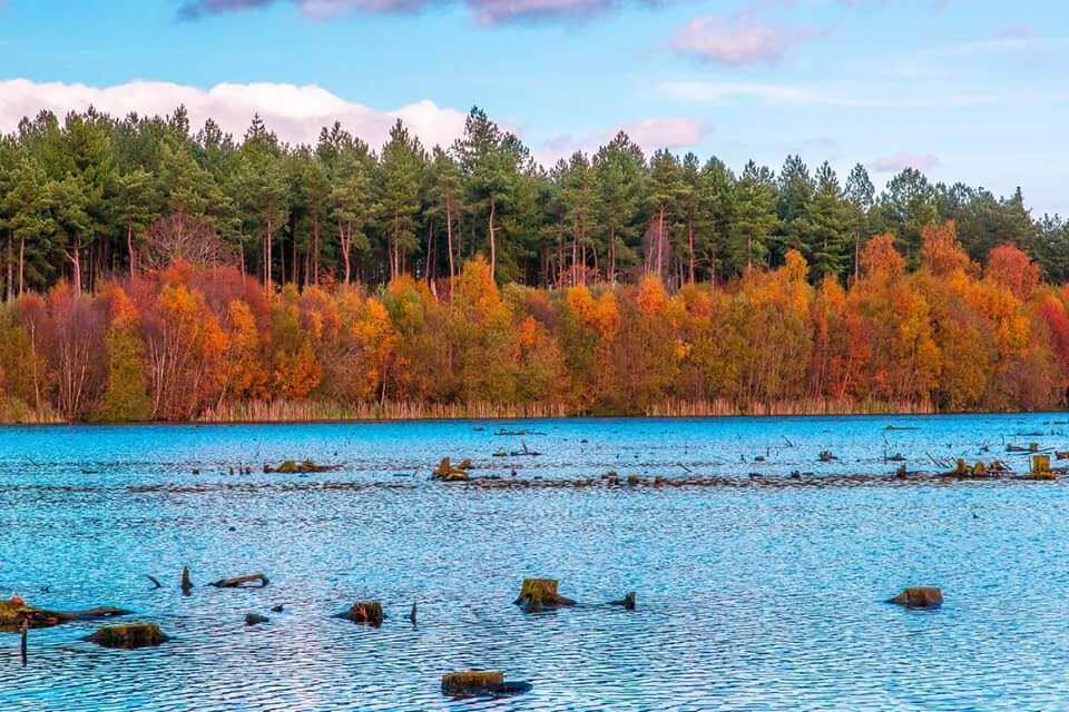 A lake surrounded by autumn-colored trees and scattered rocks.