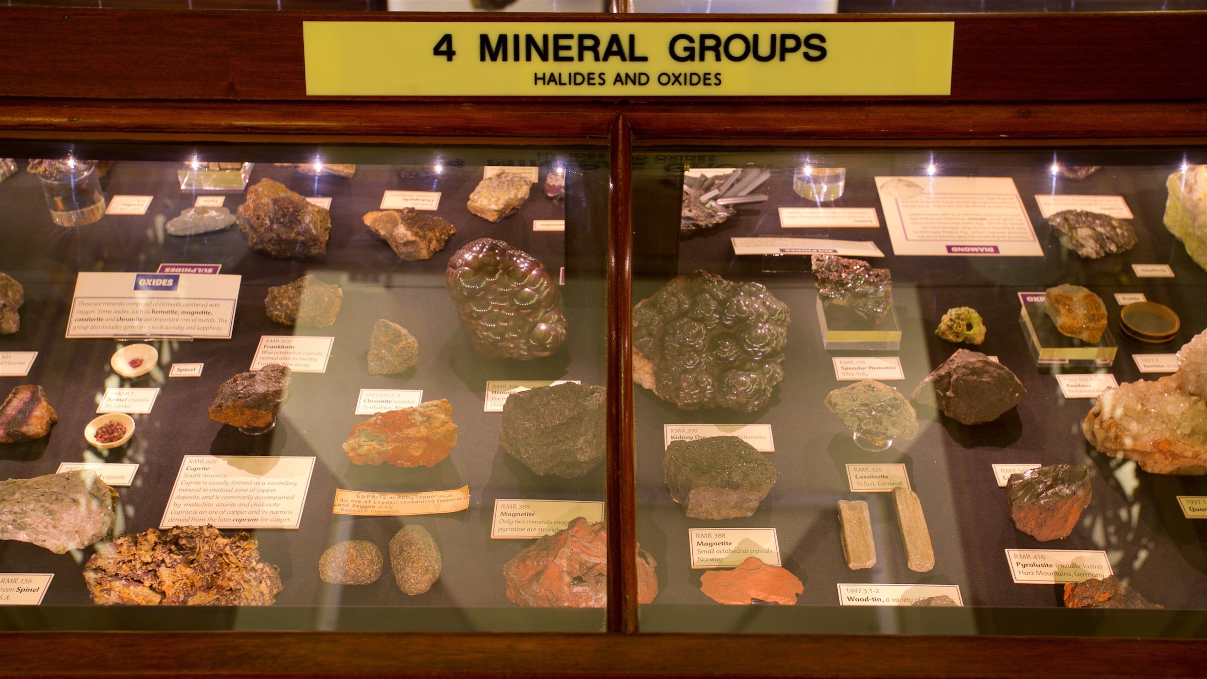 Warrington Museum & Art Gallery featuring signage