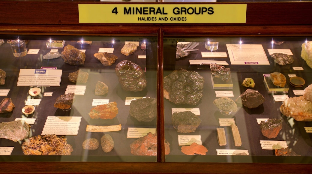 Warrington Museum & Art Gallery featuring signage