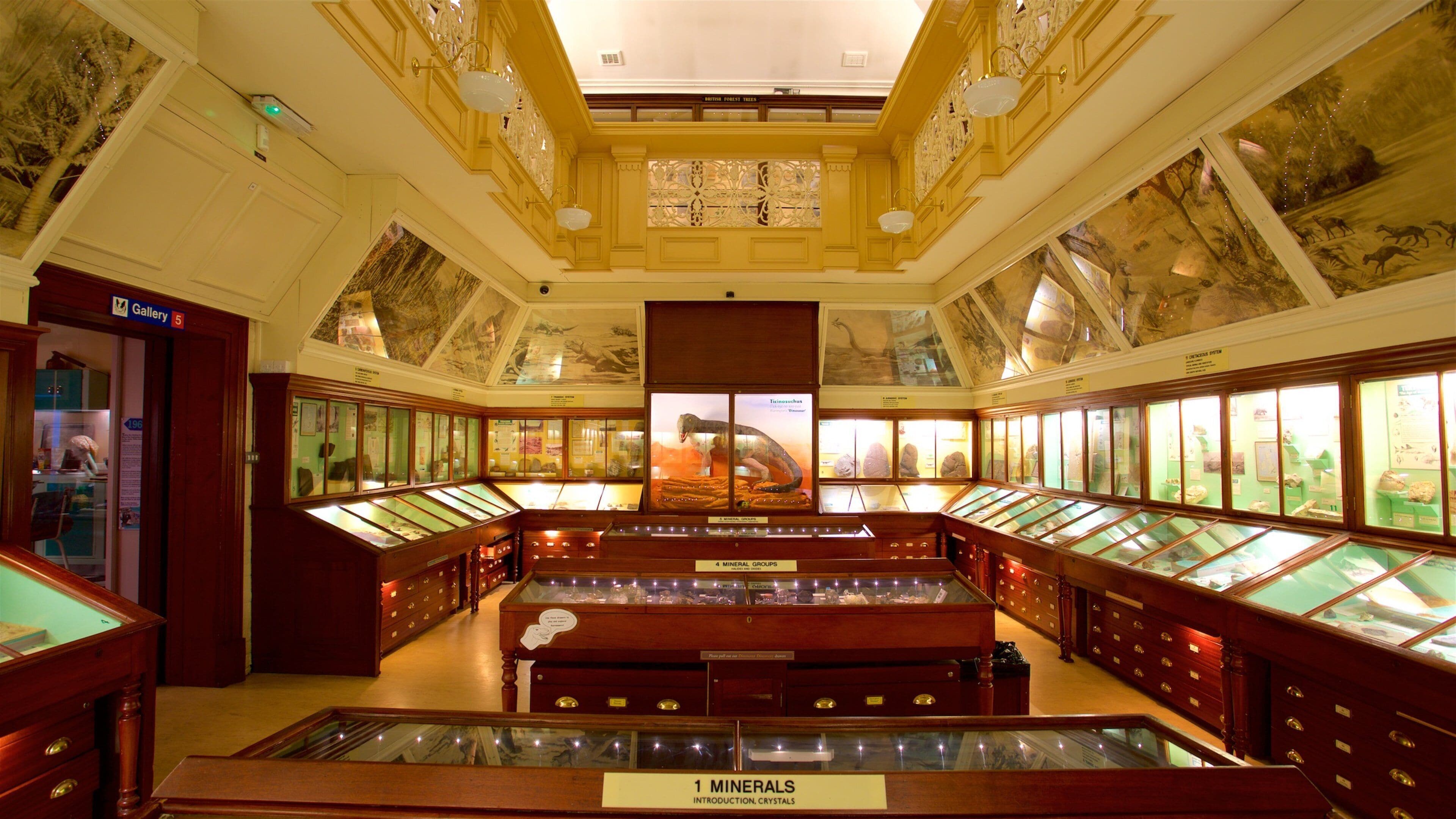 Warrington Museum & Art Gallery mit einem Innenansichten