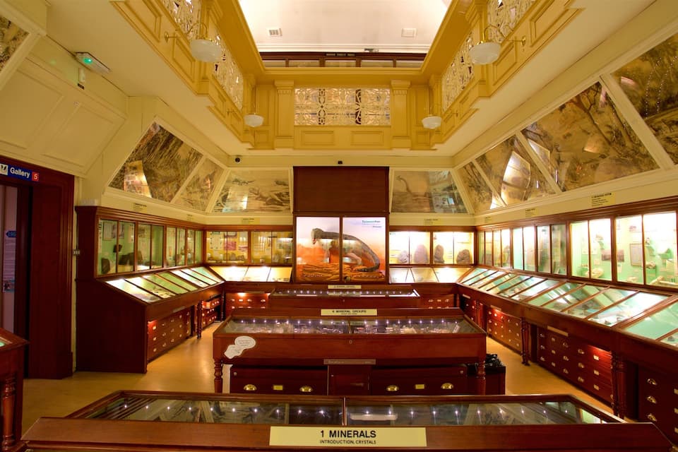 A museum with glass display cases labeled 'Minerals' and 'Introduction, Crystals'.