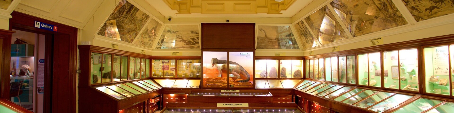 Warrington Museum & Art Gallery which includes interior views