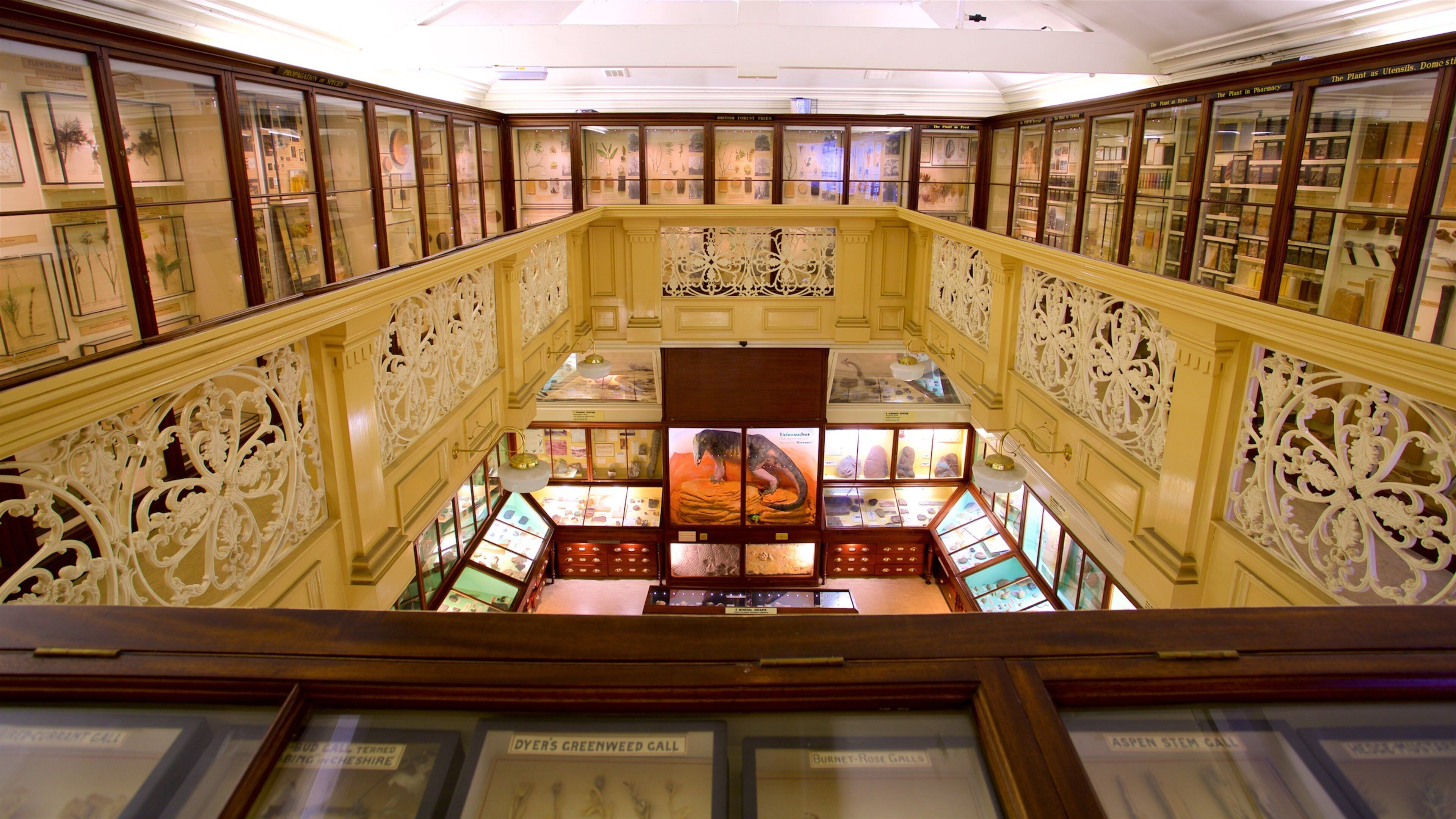 Warrington Museum & Art Gallery featuring interior views