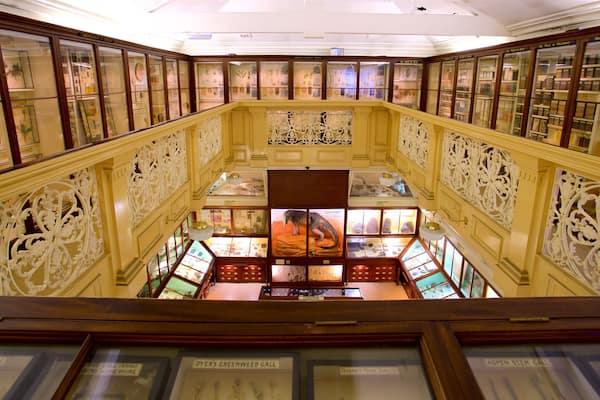 Musée et galerie d\'art de Warrington qui includes vues intérieures