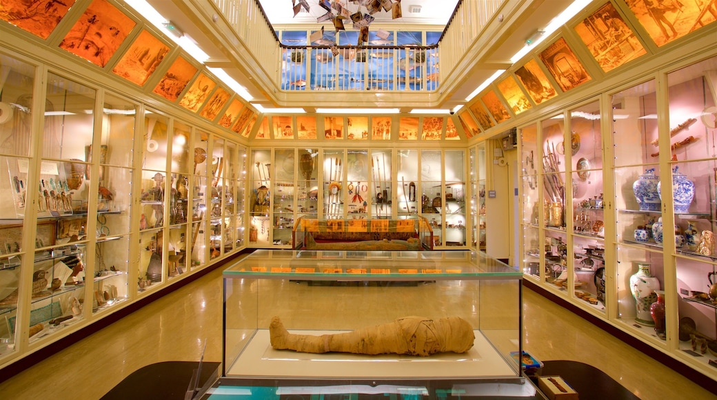 Warrington Museum & Art Gallery featuring interior views