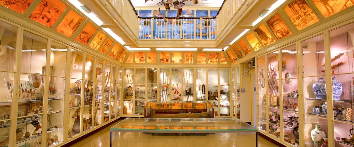 Warrington Museum & Art Gallery which includes interior views