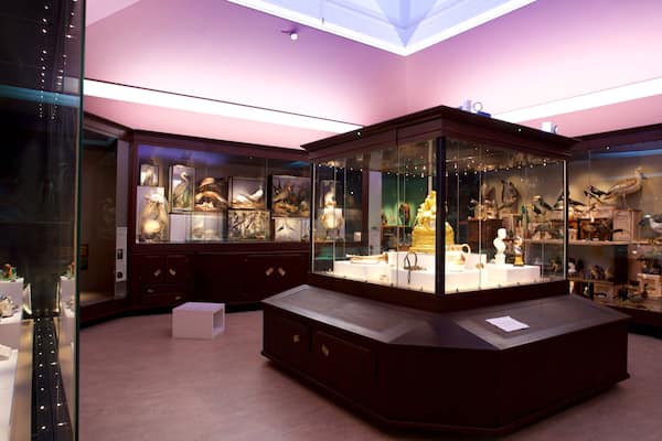 Musée et galerie d\'art de Warrington mettant en vedette vues intérieures