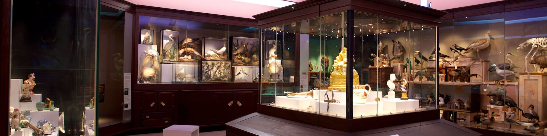 ์๋งํด ๋ฐ๋ฌผ๊ด ๋ฐ ๋ฏธ์ ๊ด ์ด ํฌํจ ์ค๋ด ์ ๊ฒฝ