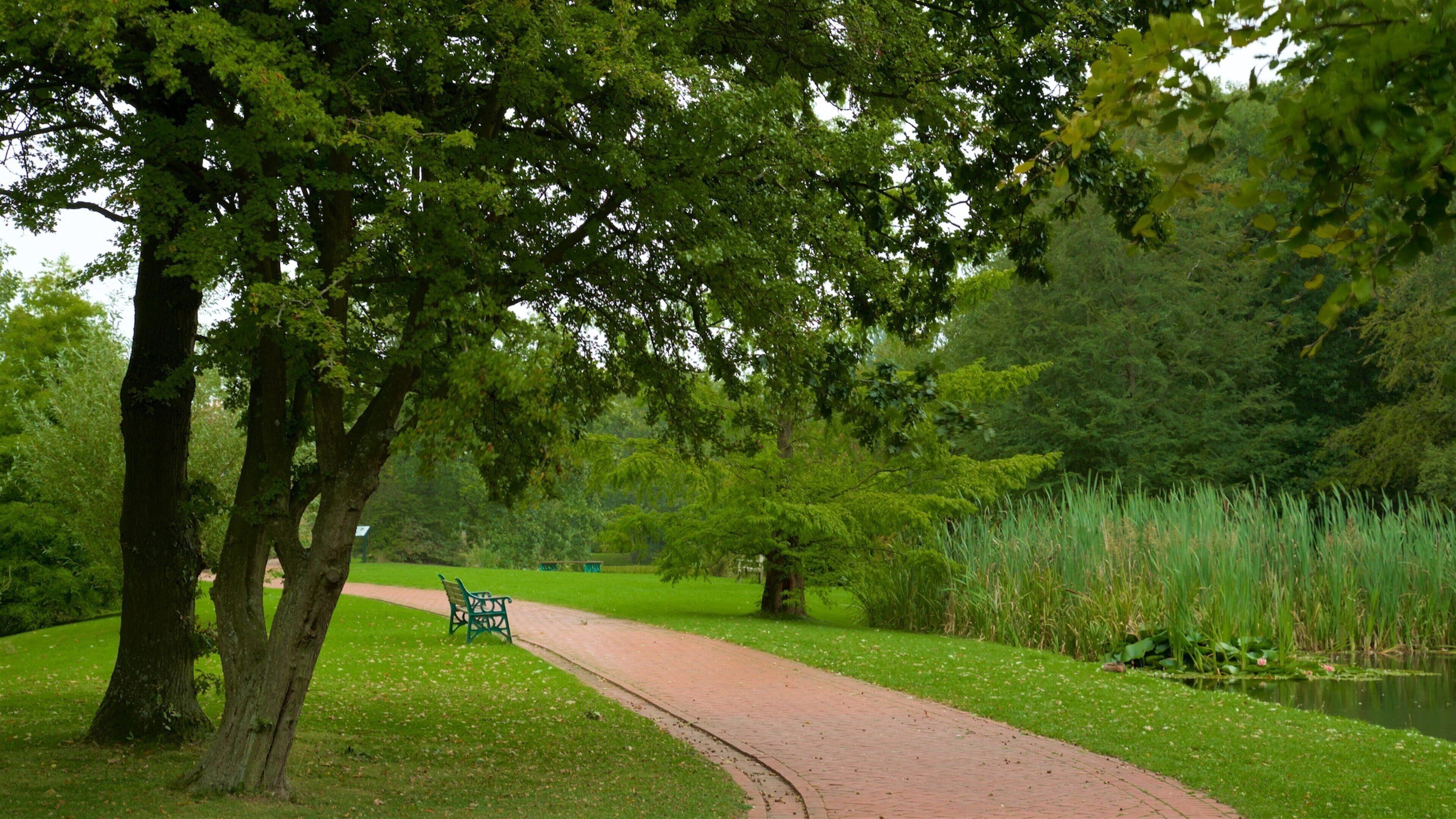 Warrington qui includes parc