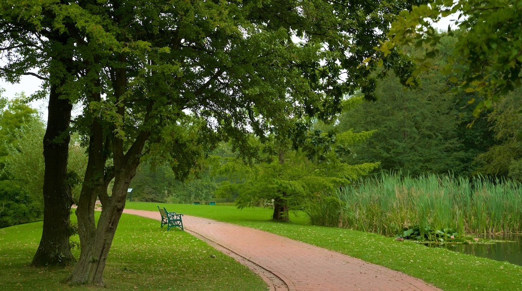 Warrington featuring a garden