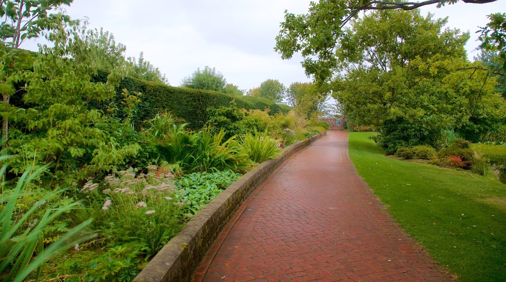 Grappenhall Heys Walled Garden showing a garden