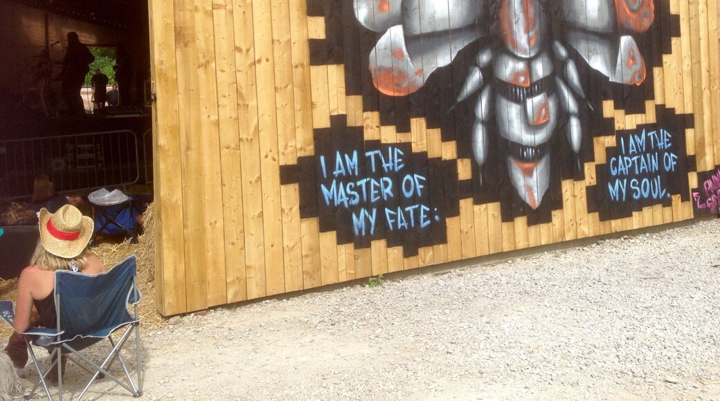 Thought you might like this ! #bumblebee